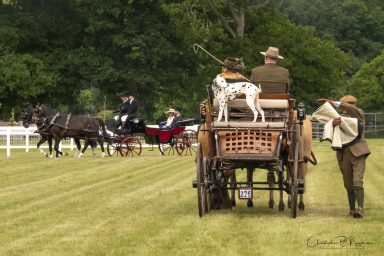 Attelege de Tradition, New Park Show ground Brockenhurst
