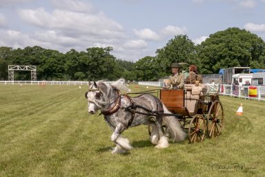 Attelege de Tradition, New Park Show ground Brockenhurst