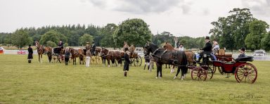Attelege de Tradition, New Park Show ground Brockenhurst